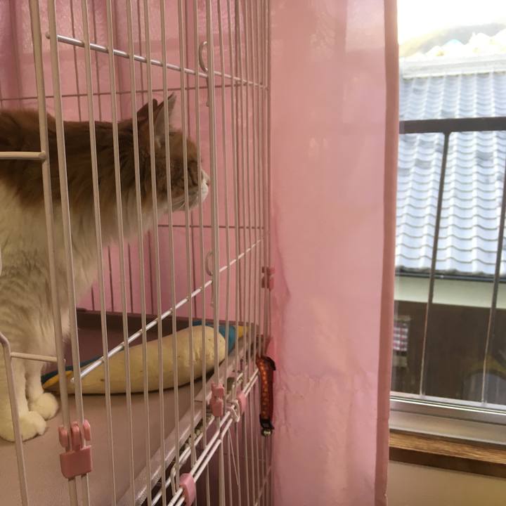 Df580f3a acd2 4cef a466 d5a9f7d41324