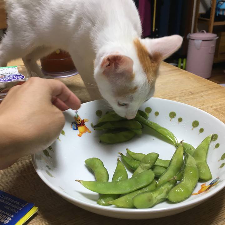 Df587bbf a4ea 47fd 8e3c 19ce0abc577f