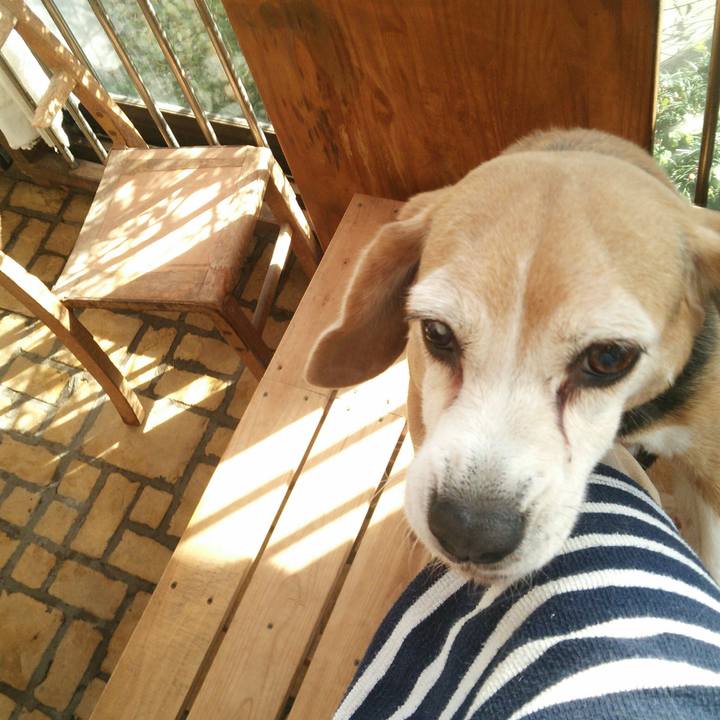 Df58a9eb 9b5e 4537 b2eb f39217e02aa5