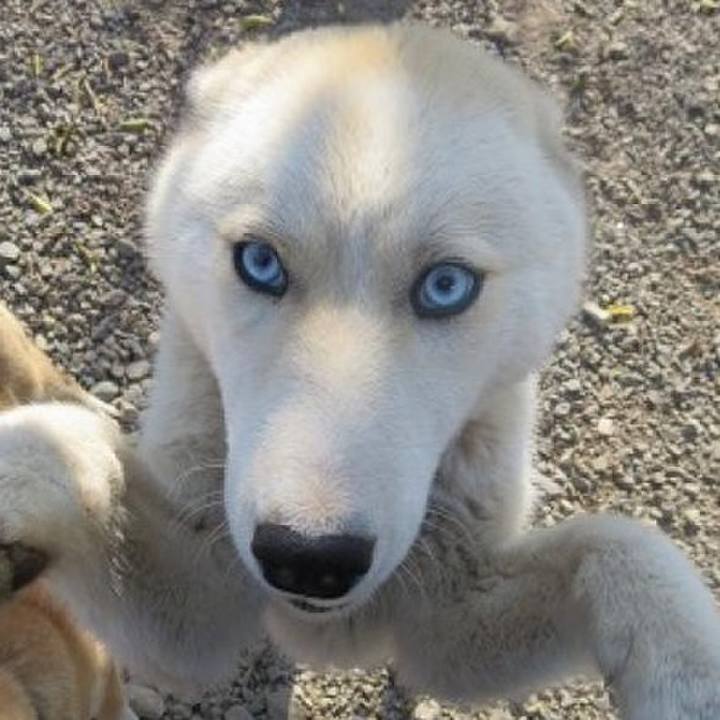 Df590c26 e26b 4e2e a094 c8769e165b87