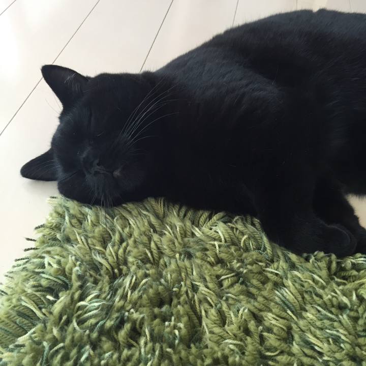 Df59933e 8662 4e6f 8956 74ef965a6626