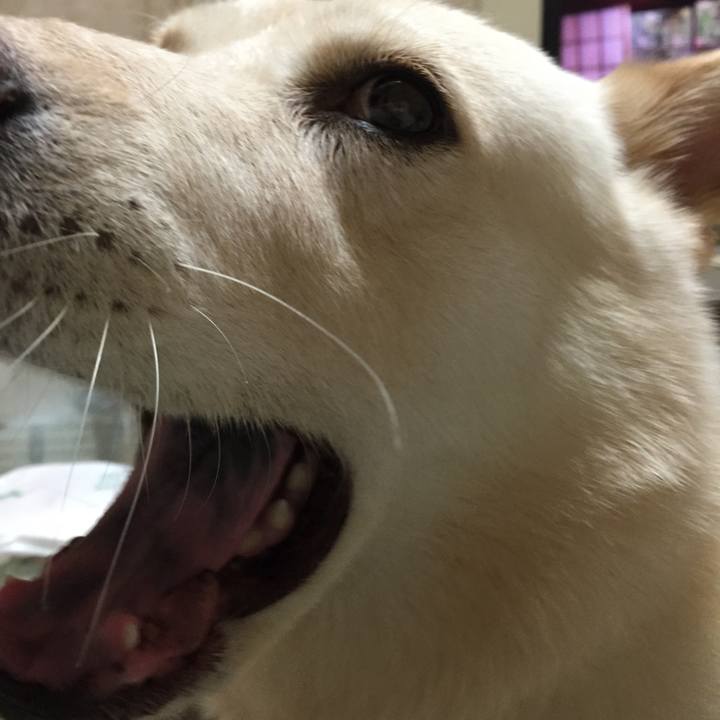 Df5a6d34 257d 4a61 a7fe 26f626a541d3