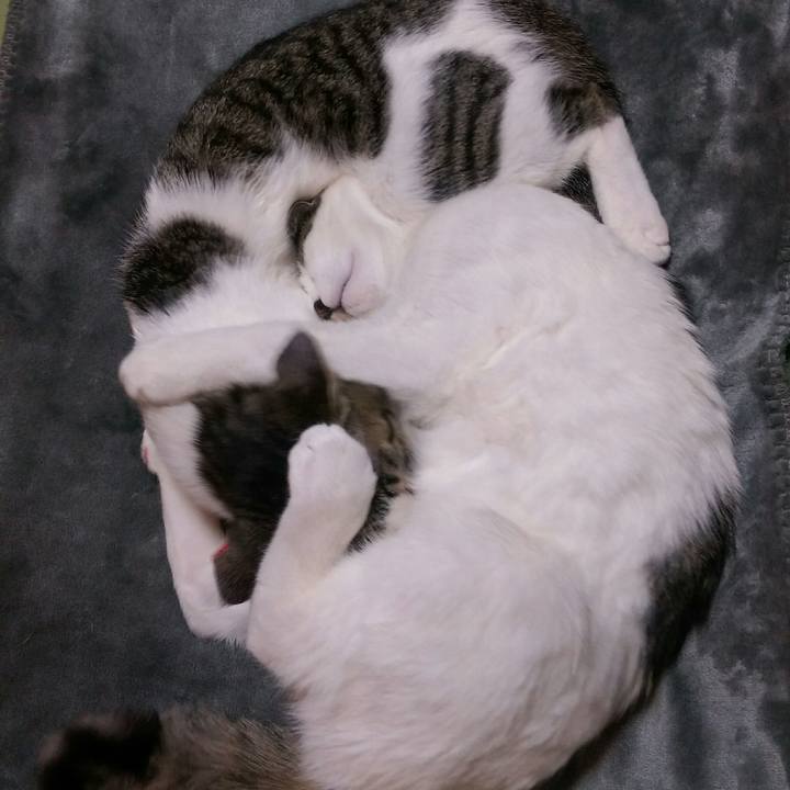 Df5ab90b 46a5 4966 968a 173fd9035166