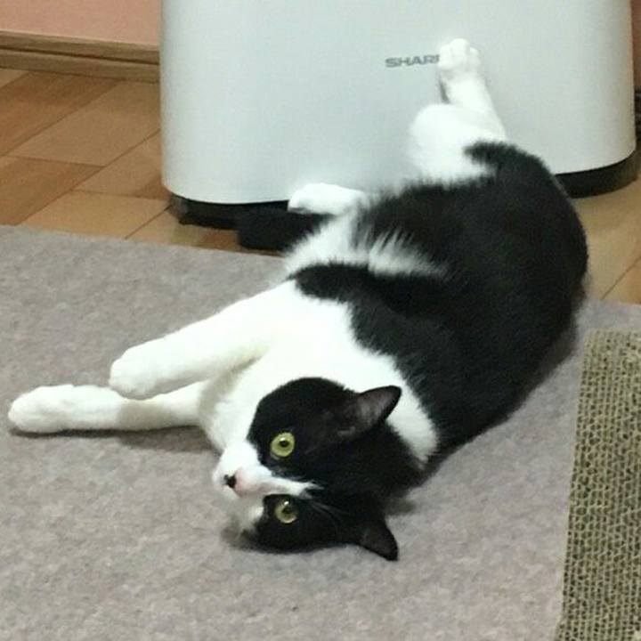 Df5b52f2 7227 460e 84a4 ca0edcc64870