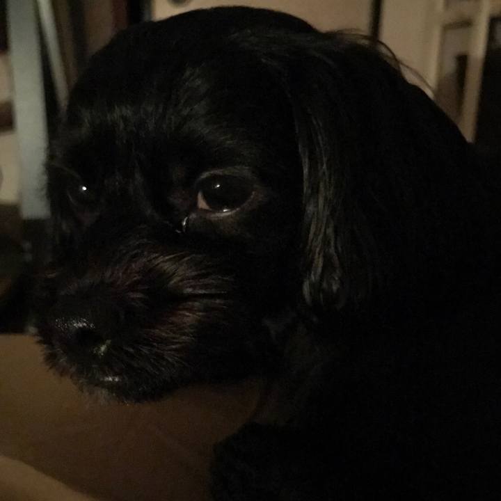 Df5b6868 aabd 4a5f a754 6c158352d8e0