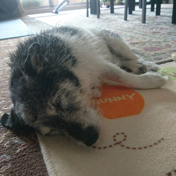 Df5b6d04 7672 41ef 9e50 d9be2846bf6c