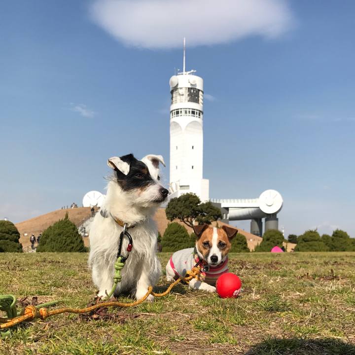 Df5b75a0 6706 41ff 8cdf 7de17a198dcb