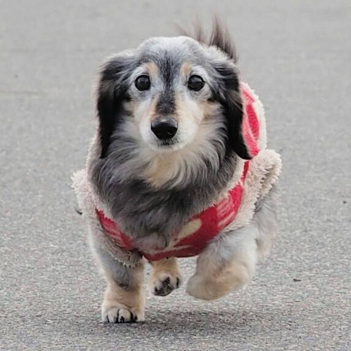 Df5bb7ad 16b8 4d50 8738 d01e44bb483b