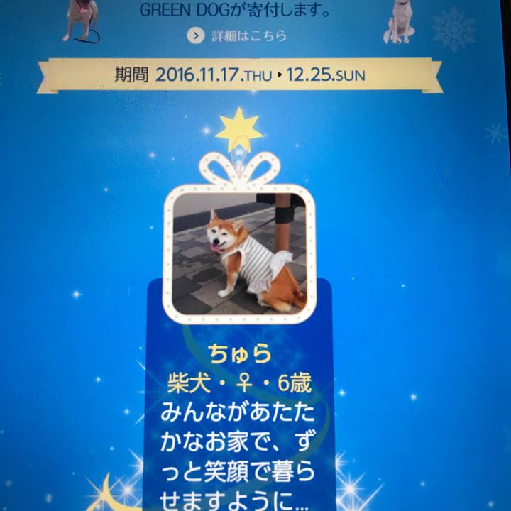 Df5ca2c3 9f2e 4864 9982 43c12e0a3d8f