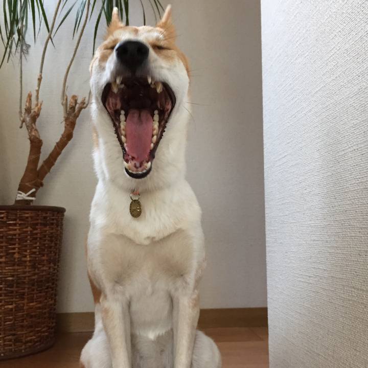 Df5ce966 5656 499b bb94 34be4d0c030c