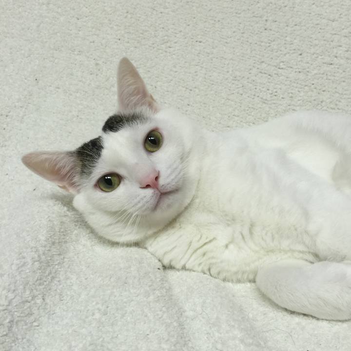 Df5d8d3f 6e44 49ee 96a3 67deb1fed648