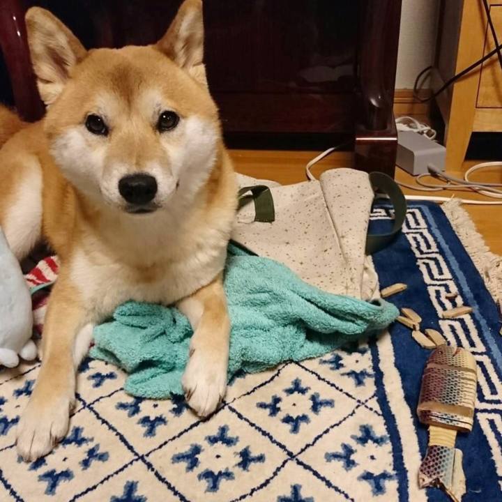 Df5db082 d15f 4f6e a116 0c9fd4944736