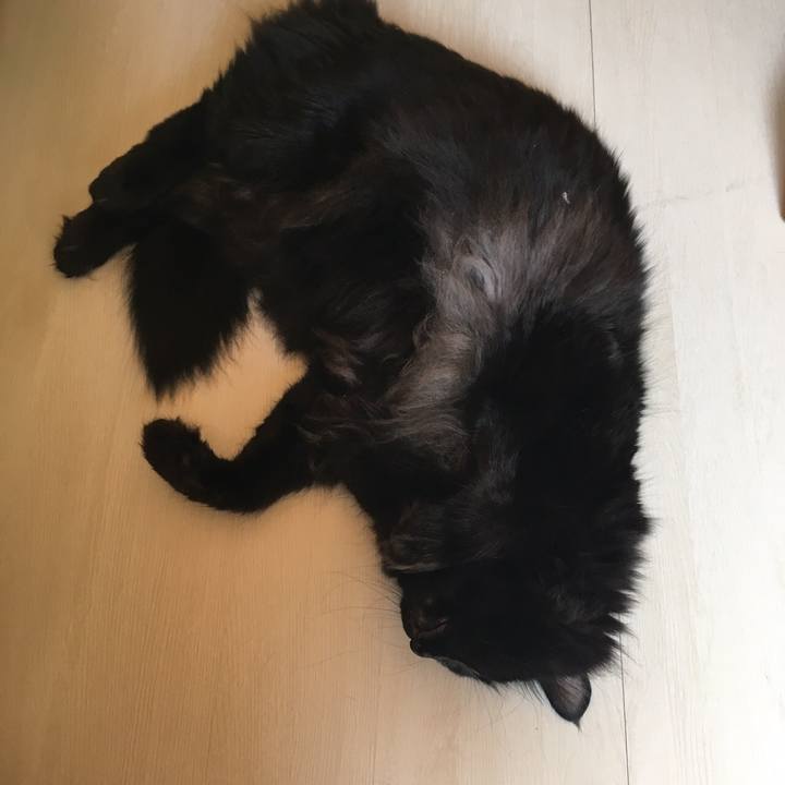 Df5e0126 5f04 41eb a29d 65dc42c22b00