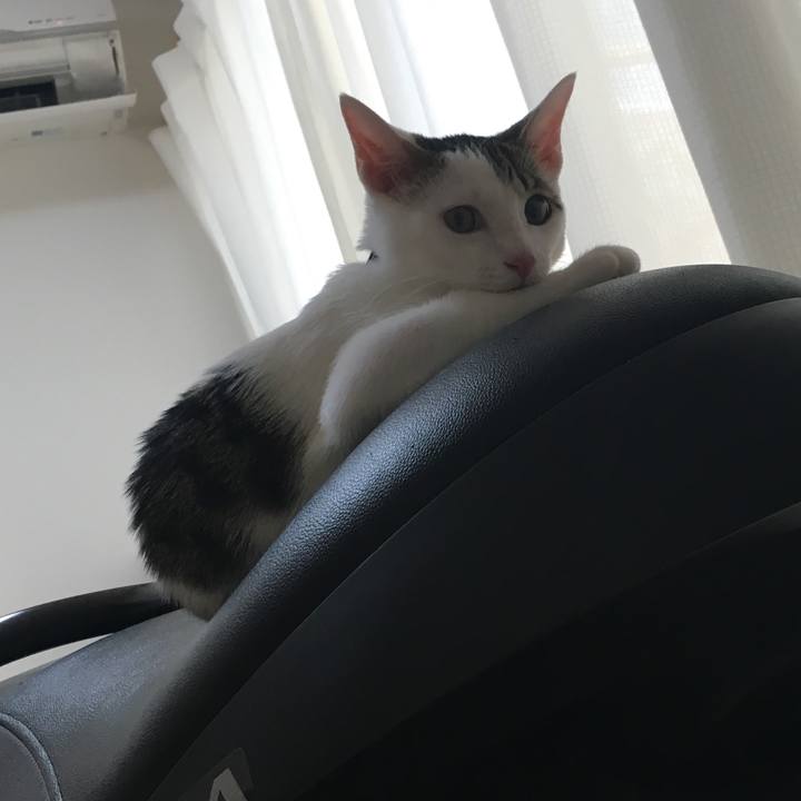 Df5e3509 5187 4535 9efb f05444489547