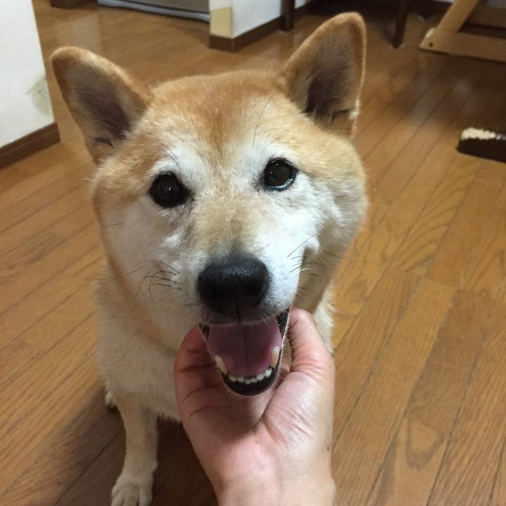 Df5e8888 d03c 4b9e b79d 39d59f68b176