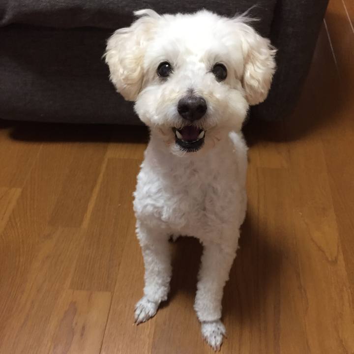 Df5e8b4e 1e05 4bd0 9572 2727e9cb26cb