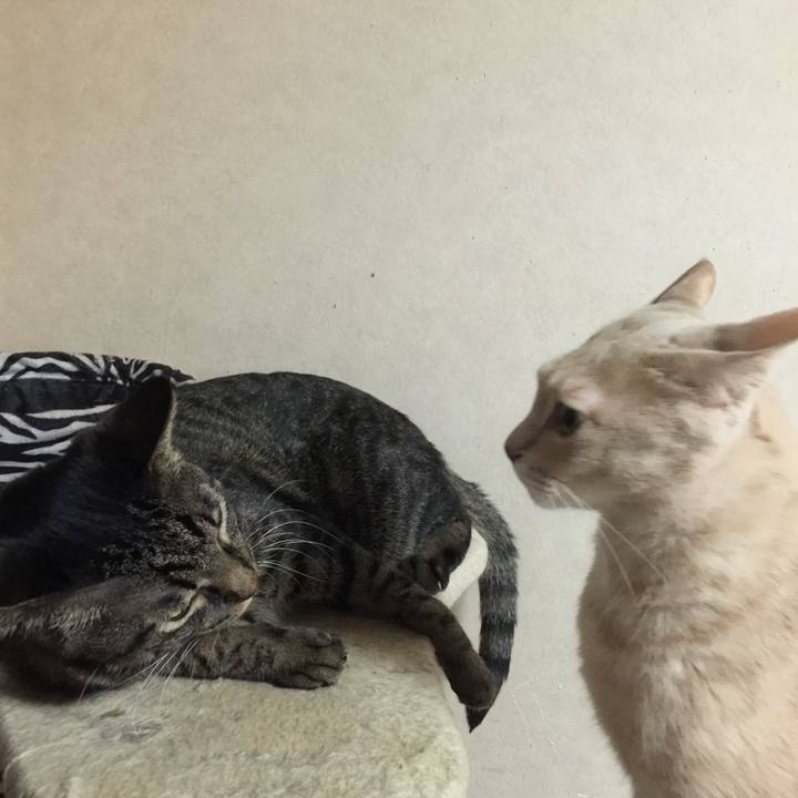 Df5eb8e4 dd78 48ef b979 8d65f91cd4ca