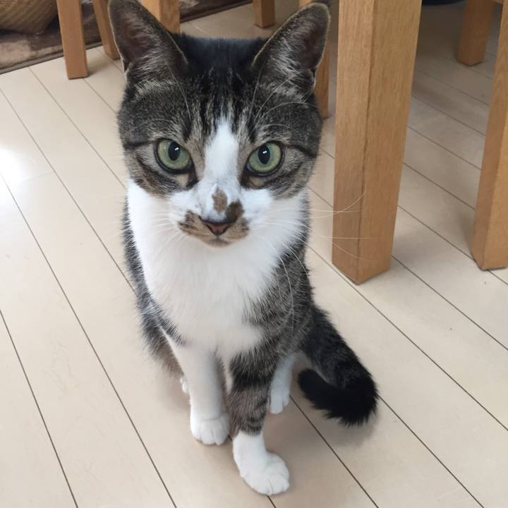 Df5f7b16 6f68 44cb bfb1 5bb5f1c07f59