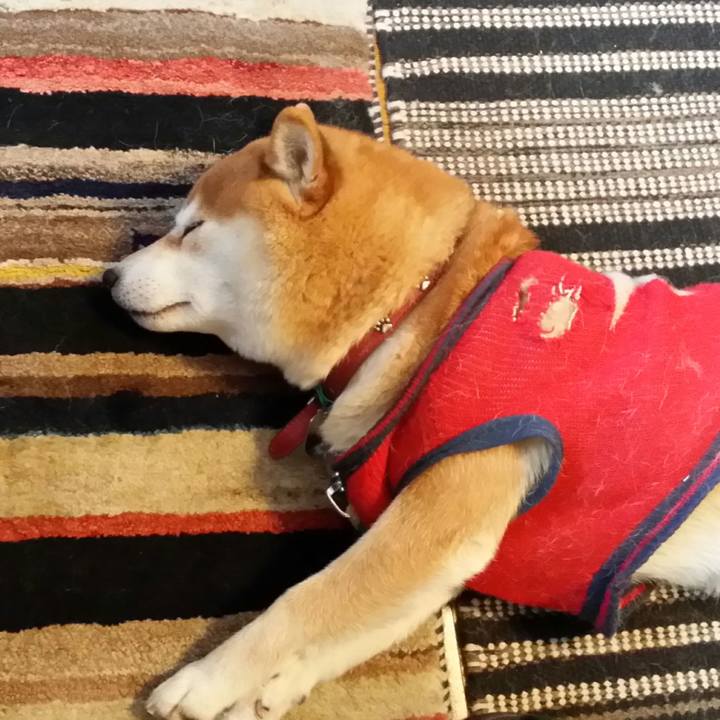 Df5fd0fb 5dbf 4310 8299 7ac3cac635ff