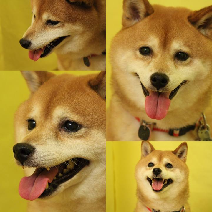 Df5ffe00 7255 4f67 98b6 acfbc33cb5aa