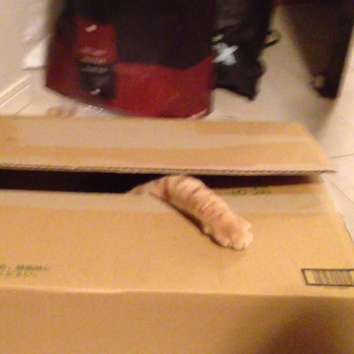 Df60fe25 9741 4eb8 b51a 9bf1a2bd2140