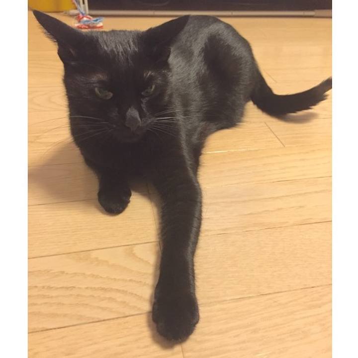 Df62ae57 f57b 46d4 bac5 7f3eb1d24716