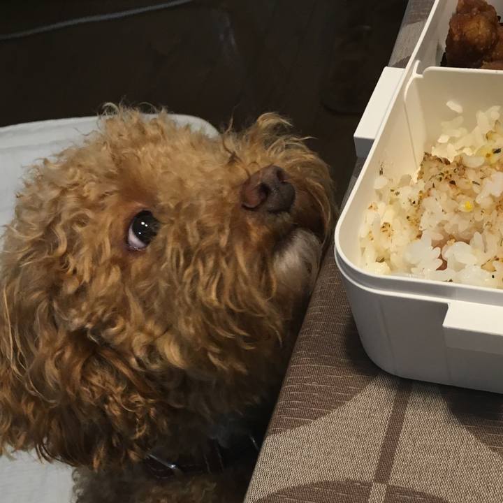 Df6350d0 730d 4e23 8c57 5da43d55a8a5