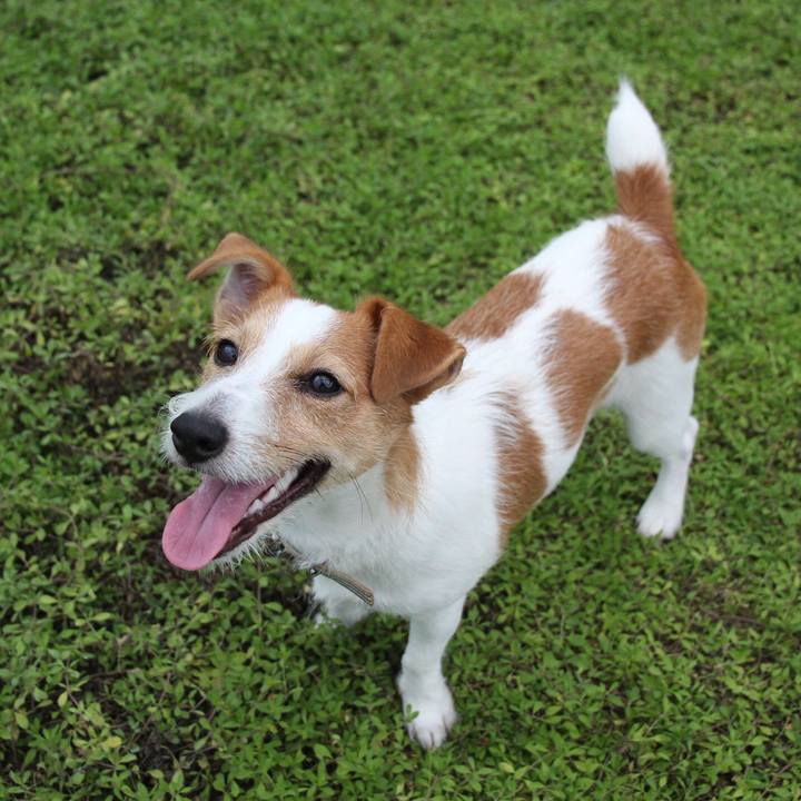 Df652ebd a2cf 4a0e 9052 fe4f6bdb248c