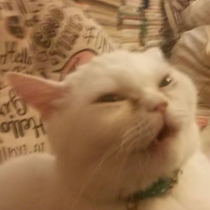 Df65d2b7 8894 4f60 bb37 ce416d17b300