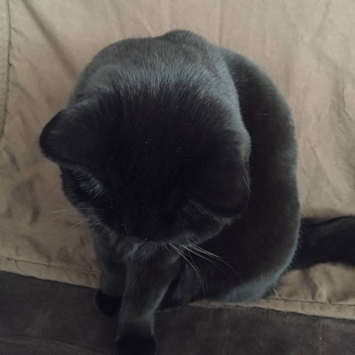 Df65dbea 30e8 42df a018 ee06bf38e6e4