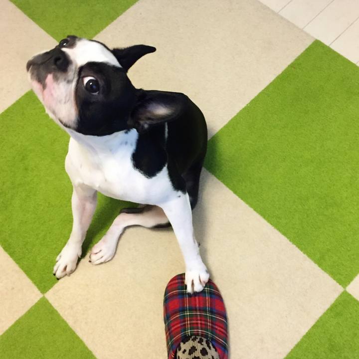 Df6614fb 5aff 4670 9198 885864c3684f