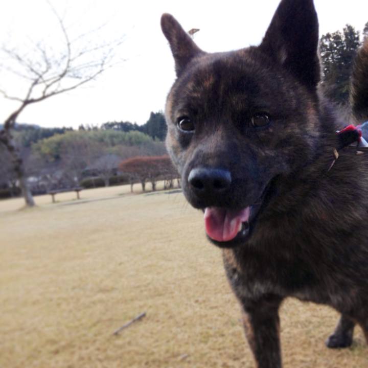 Df66302f 3516 4ffb a9d6 cd3c5cf74ced