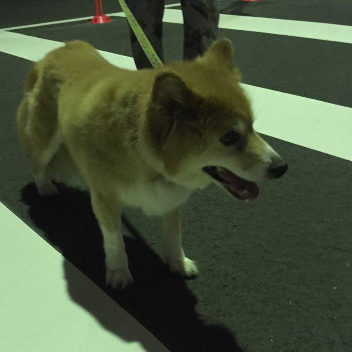 Df663977 02b8 46e5 9eee a5270f3a2048