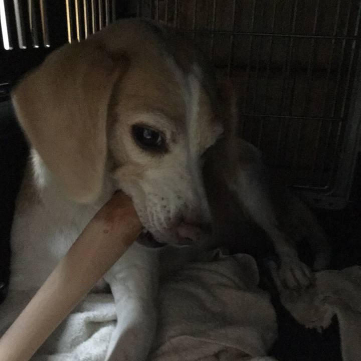 Df66708e 91b3 41ce 99a4 2ba6be499fcd