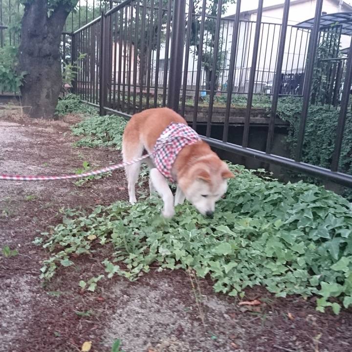 Df6695d2 75fa 4e16 831e 47f0cf4c009c