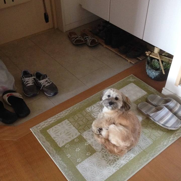 Df66e44c 908e 4b9e b361 a39d1bcde7d4