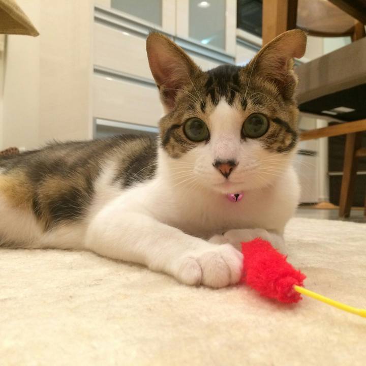 Df66ebaa a7f1 42be 9800 814f4b3cf659