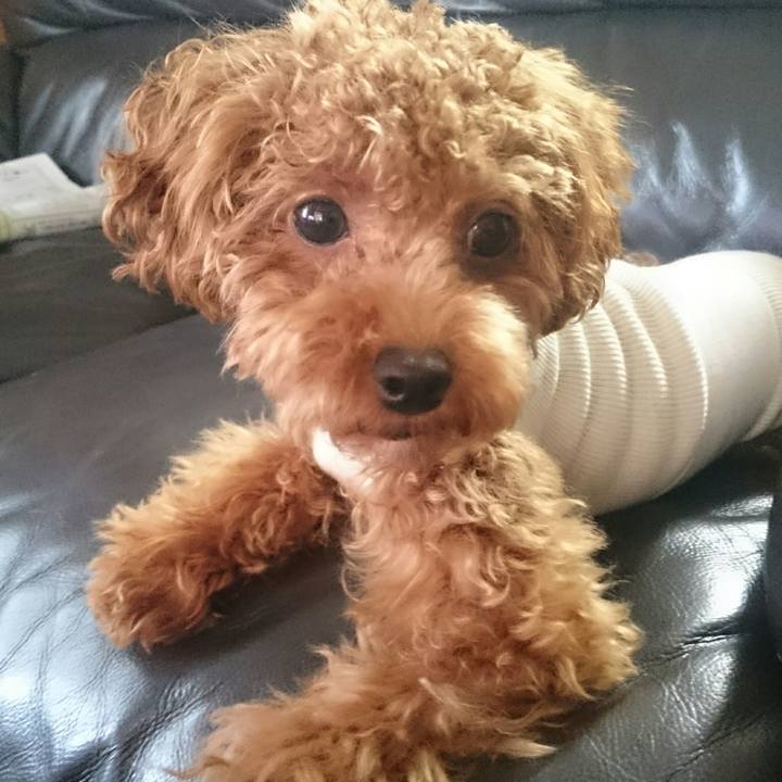 Df66f048 4857 4fde b34f 5198e56d2cc7