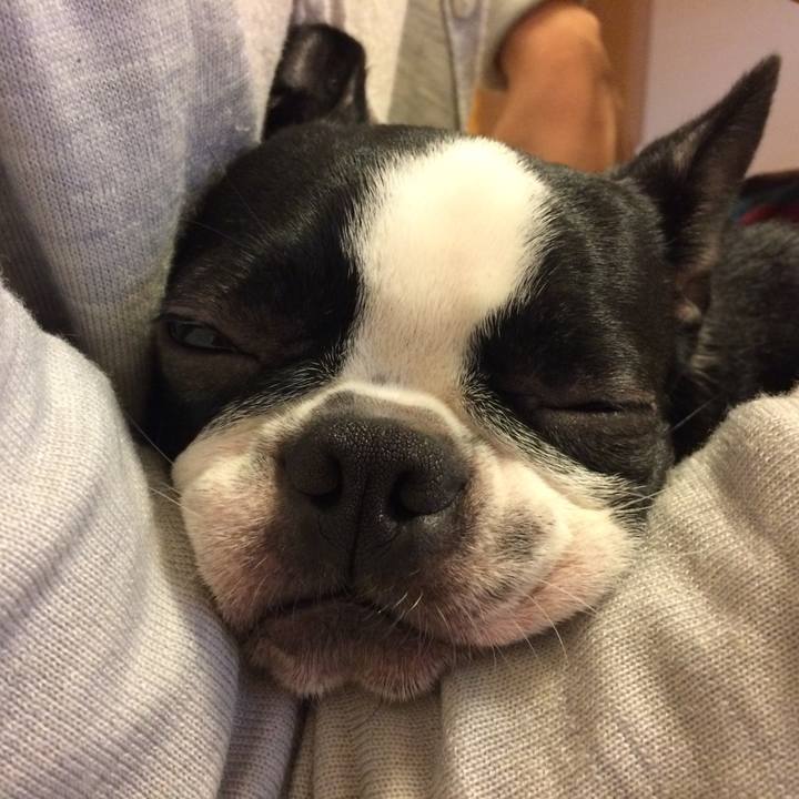 Df67aa6c 7004 4f3c b813 8c9b958eebde