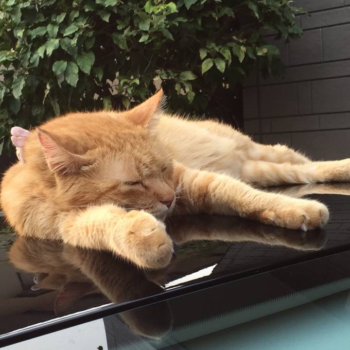 Df67d98f a960 4ff8 b471 e782be56b92e