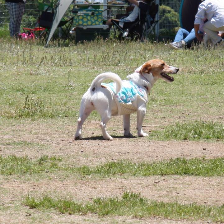 Df67eb80 6c7f 4f61 964f e290f3e8ca7f