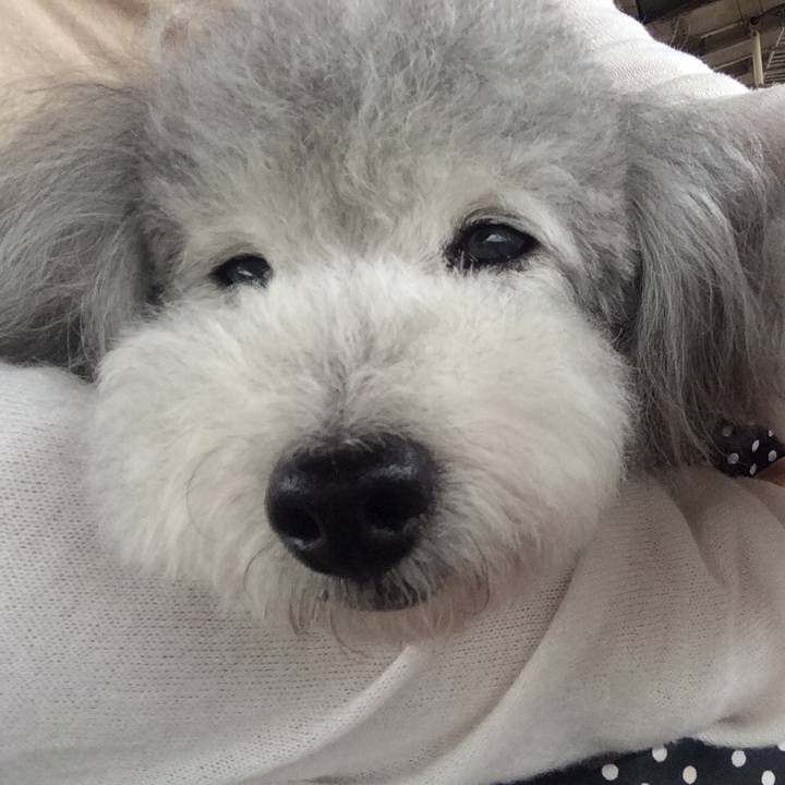 Df67f8bb 72a4 4d20 ab8a 875914d563bf