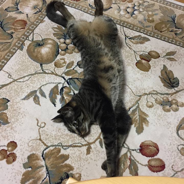 Df6823f0 5f7f 4f78 8dd0 11c7ed77fe73