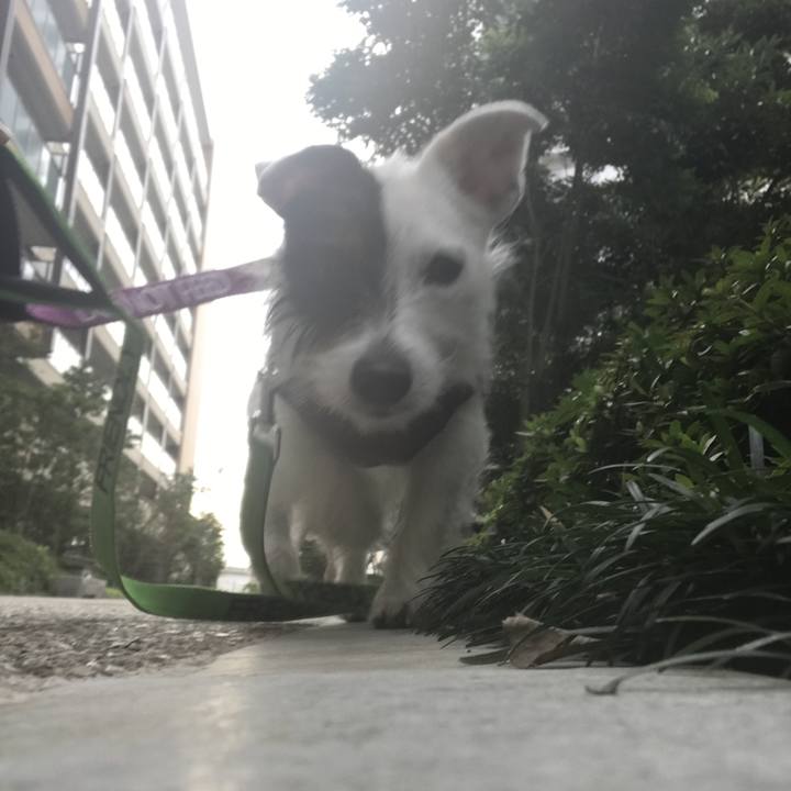 Df6826ac 1410 4d15 9f8d e3d0dcaf652b