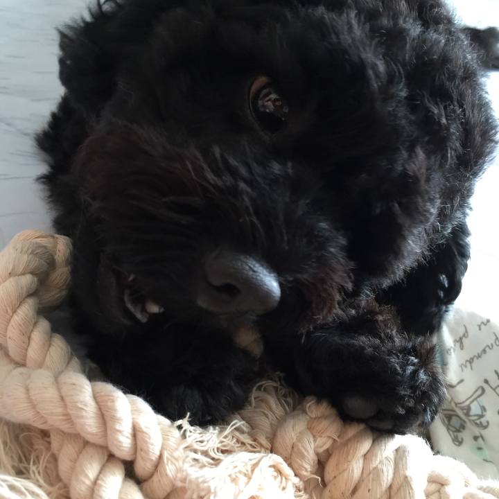 Df686f3d 471a 4e55 9100 41f414f514ea