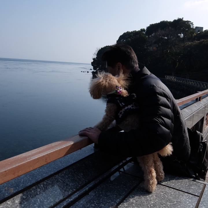 Df68e9a1 ef5e 4c2e a544 68770f6c4bf3