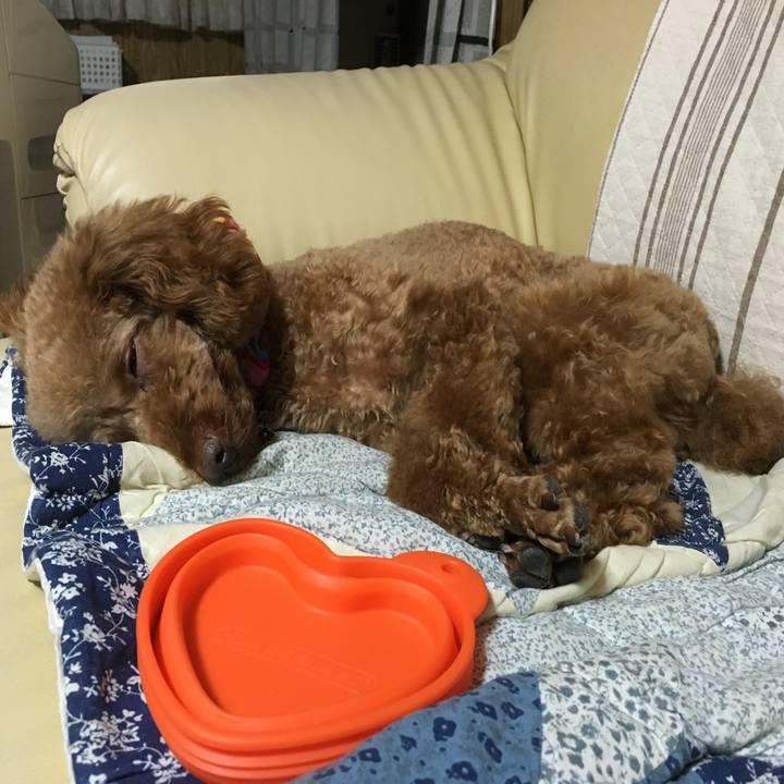 Df68f8c1 7594 4fcd 9491 10cdbb480d6d