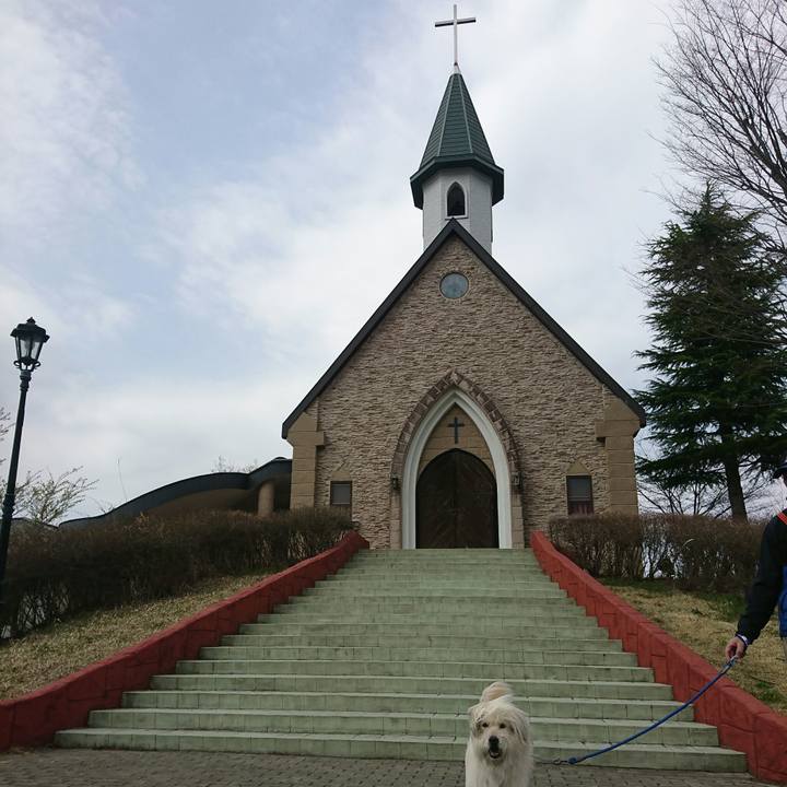 Df696808 a576 4f10 a350 566cc4a3f779