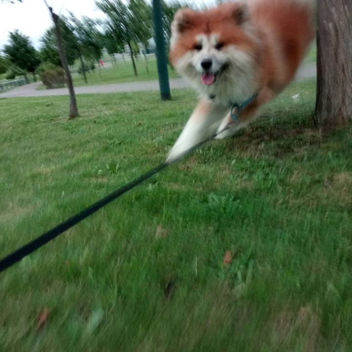 Df696996 219e 495c bdf7 c89f7af77246