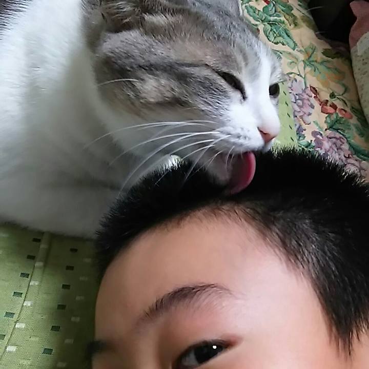 Df6a0867 630c 48f3 a615 823a5c532ab9